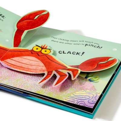 Don't Ever Smile at a Shark - Pop-up Book