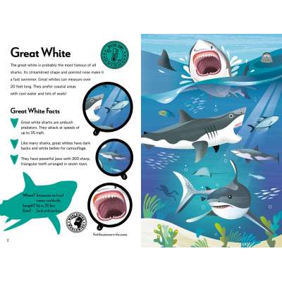 Fantastic Fearsome Sharks (STEM Book + Model Kits) - Book