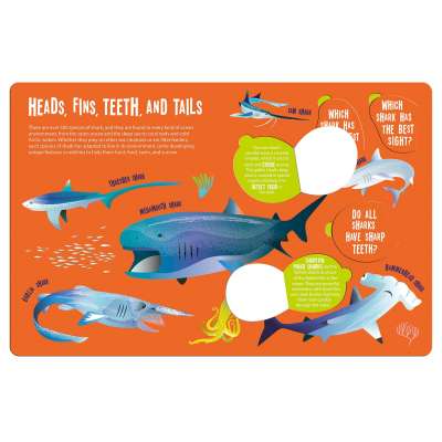 Magic Searchlight - Sharks - Book