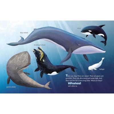 My Little Golden Book About Whales - Book