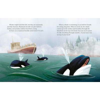 My Little Golden Book About Whales - Book