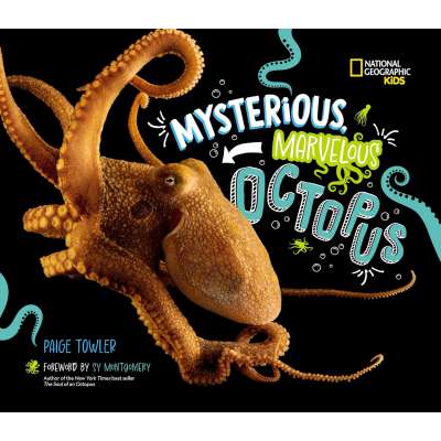 Mysterious, Marvelous Octopus! - Book