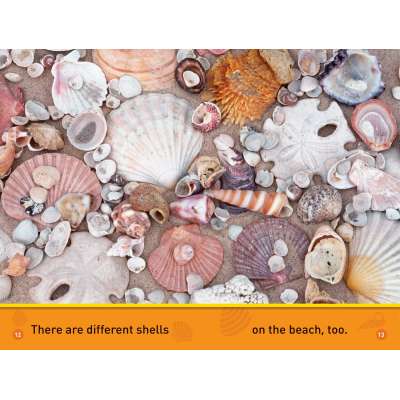 National Geographic Readers - Pre-reader: At the Beach - Book