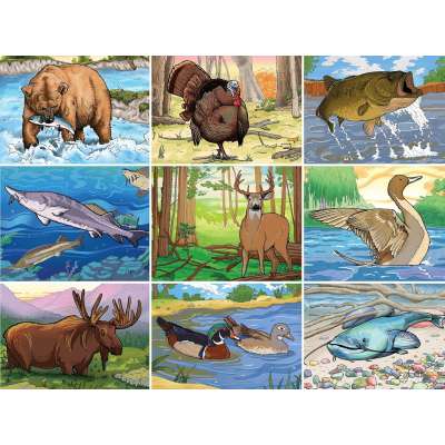 North American Wildlife Coloring Book for Young Outdoor Adventurers - Book