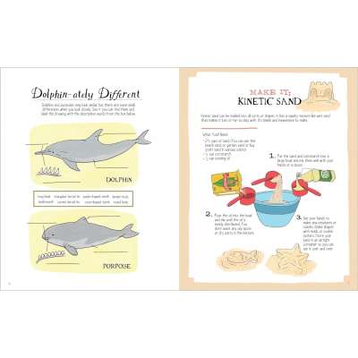 Julia Rothman's Ocean Anatomy - Activity Book
