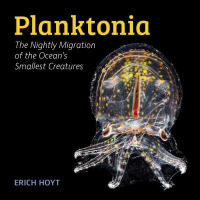 Planktonia: The Nightly Migration of the Ocean's Smallest Creatures - Book