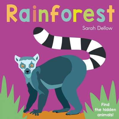 Rainforest - Now You See It! - Board Book
