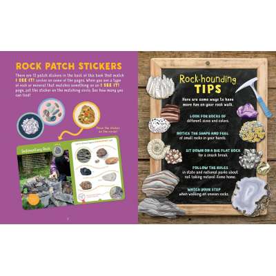 Backpack Explorer: Rock Hunt - Book