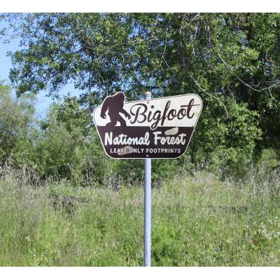 Bigfoot National Forest - Metal Sign