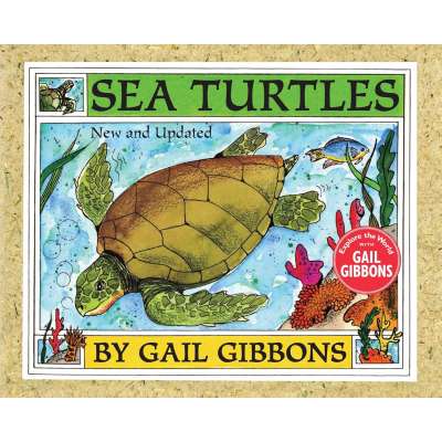 Sea Turtles - Book