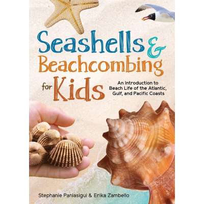 Seashells & Beachcombing for Kids - Book