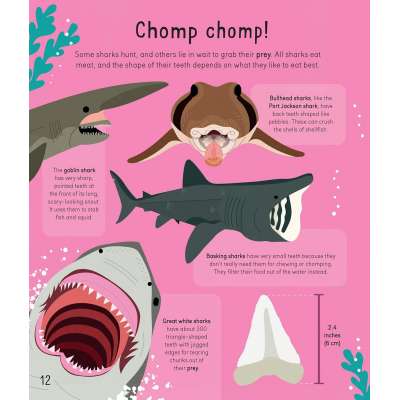 Sharks! Sharks! Sharks! - Book