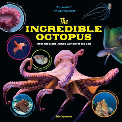 The Incredible Octopus - Book