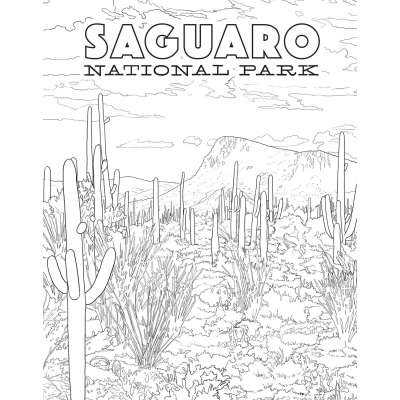 The National Parks Poster Coloring Book