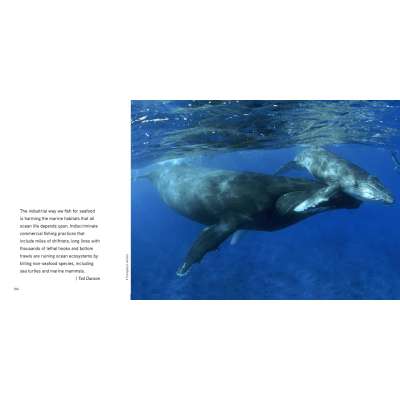 The Sea: A World to Preserve - Book
