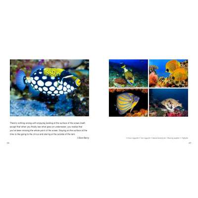 The Sea: A World to Preserve - Book