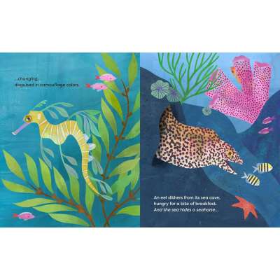 The Sea Hides a Seahorse - Book