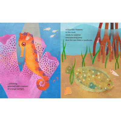 The Sea Hides a Seahorse - Book