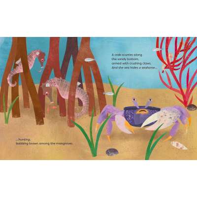 The Sea Hides a Seahorse - Book