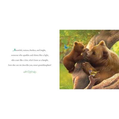 Why We Need Granddaughters - Book