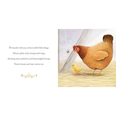 Why a Son Needs a Mom - Book