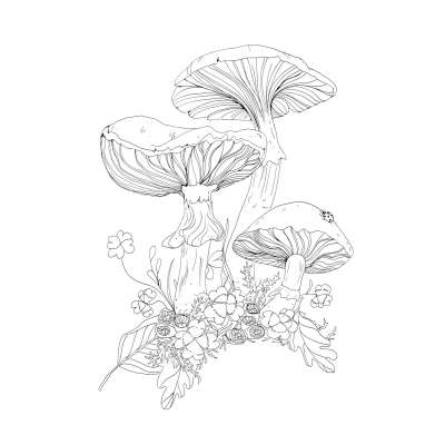 Woodland Wonderland: A Tranquil Coloring Retreat - Book