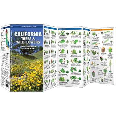 California Trees & Wildflowers