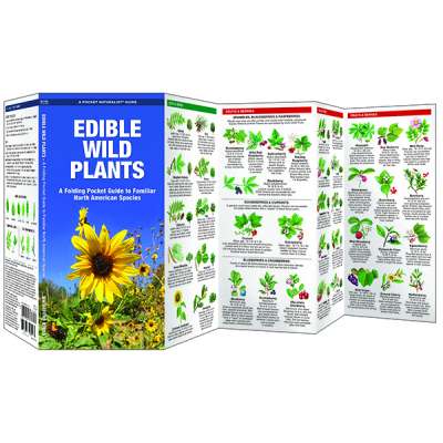 Edible Wild Plants