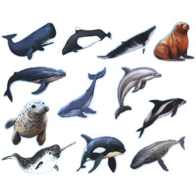 Pacific Northwest Marine Animal - Sticker Book