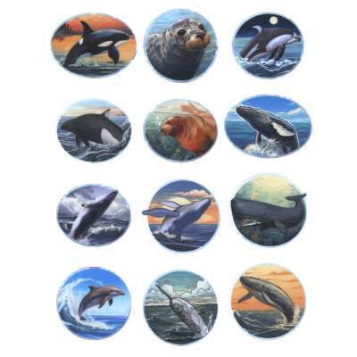 Pacific Northwest Marine Animal - Sticker Book