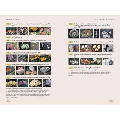 Mushrooms of Cascadia, Second Edition: An Illustrated Key to the Fungi of the Pacific Northwest - Book