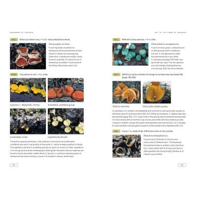 Mushrooms of Cascadia, Second Edition: An Illustrated Key to the Fungi of the Pacific Northwest - Book