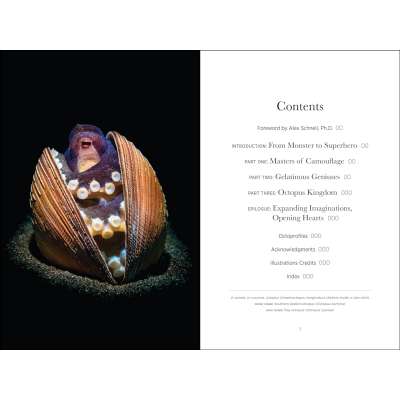 Secrets of the Octopus - Book