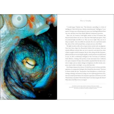 Secrets of the Octopus - Book
