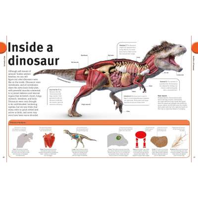 Our World in Pictures The Dinosaur Book: And Other Prehistoric Creatures - Book