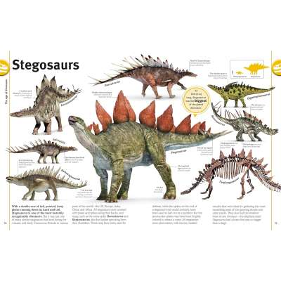 Our World in Pictures The Dinosaur Book: And Other Prehistoric Creatures - Book