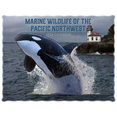 Marine Wildlife of the Pacific Northwest 2025 Calendar