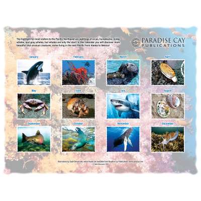Marine Wildlife of the Pacific Northwest 2025 Calendar