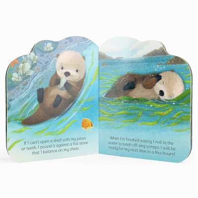 A Little Otter - Board book