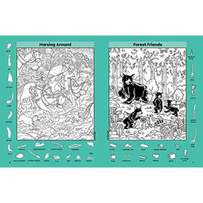 Amazing Nature Puzzles - Book