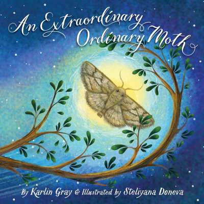 An Extraordinary Ordinary Moth - Book