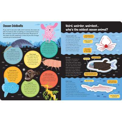 Awesome Weird Animals - Book