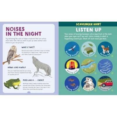 Backpack Explorer: Night Walk: What Will You Find? - Book
