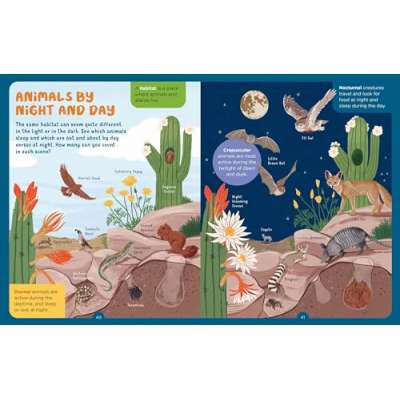 Backpack Explorer: Night Walk: What Will You Find? - Book