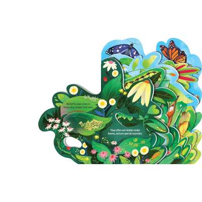 Beautiful Butterflies - Board Book