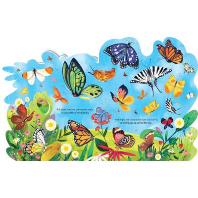 Beautiful Butterflies - Board Book