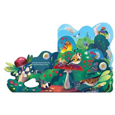 Birdsong - Board Book
