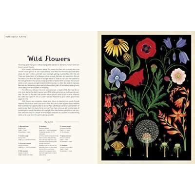 Botanicum: Welcome to the Museum - Book