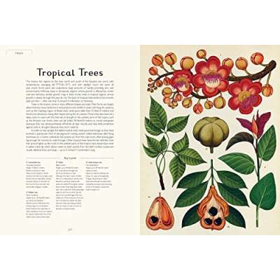 Botanicum: Welcome to the Museum - Book