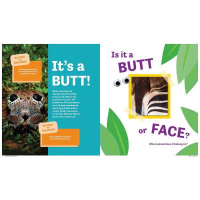 Butt or Face? - Book